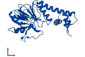 AlphaFold protein structure predicition of Mouse Recombinant Lactb2 Protein, UniprotID Q99KR3
