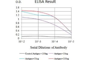 Black line: Control Antigen (100 ng),Purple line: Antigen (10 ng), Blue line: Antigen (50 ng), Red line:Antigen (100 ng) (ITGA3 抗体  (AA 63-248))