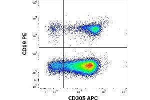 Flow cytometry multicolor surface staining pattern of human lymphocytes using anti-human CD305 (NKTA255) APC antibody (10 μL reagent / 100 μL of peripheral whole blood) and anti-human CD19 (LT19) PE antibody (20 μL reagent / 100 μL of peripheral whole blood). (LAIR1 抗体  (APC))