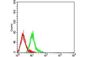 Flow cytometric analysis of HL-60 cells using CD49C mouse mAb (green) and negative control (red). (ITGA3 抗体  (AA 63-248))