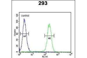 Roundabout 4 Antibody (N-term) (ABIN651292 and ABIN2840173) flow cytometric analysis of 293 cells (right histogram) compared to a negative control cell (left histogram).