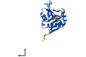 Protein Structure (PS) image for N(alpha)-Acetyltransferase 50, NatE Catalytic Subunit (NAA50) (AA 1-169) protein (His tag) (ABIN7549668)