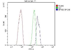 Flow Cytometry analysis of C6 cells using anti-EPHB2 antibody (ABIN7601057).