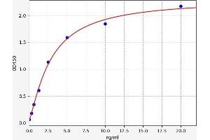Typical standard curve (CRHR1 ELISA 试剂盒)