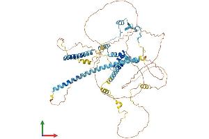 Protein Structure (PS) image for CLK4-Associating Serine/arginine Rich Protein (CLASRP) (AA 1-674) protein (His tag) (ABIN7546527)