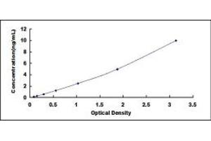 Typical standard curve (BPIFA2 ELISA 试剂盒)