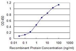 Detection limit for recombinant GST tagged CHIT1 is 0. (Chitotriosidase 1 抗体  (AA 60-169))
