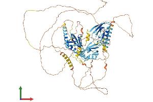 AlphaFold protein structure predicition of Mouse Recombinant Apba1 Protein, UniprotID B2RUJ5 (APBA1 Protein (AA 1-842) (His tag))