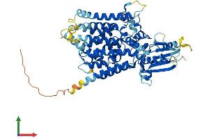 AlphaFold protein structure predicition of Human Recombinant PIGZ Protein, UniprotID Q86VD9