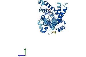 Protein Structure (PS) image for Solute Carrier Family 25, Member 43 (SLC25A43) (AA 1-341) protein (His tag) (ABIN7561861)