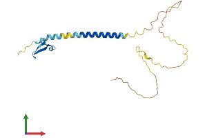 Protein Structure (PS) image for Tumor Necrosis Factor Receptor Superfamily, Member 17 (TNFRSF17) (AA 1-184) protein (His tag) (ABIN7544660)