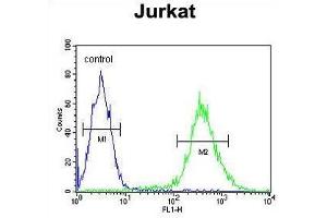 TM173 Antibody (C-term) flow cytometric analysis of Jurkat cells (right histogram) compared to a negative control cell (left histogram).