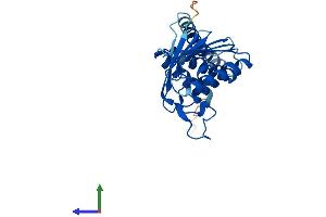 Protein Structure (PS) image for MIT, Microtubule Interacting and Transport, Domain Containing 1 (MITD1) (AA 1-249) protein (His tag) (ABIN7549449)