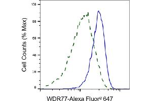 Validation of WDR77 knockdown using flow cytometry. (WDR77 抗体)