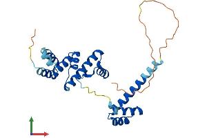 Protein Structure (PS) image for SIX Homeobox 6 (SIX6) (AA 1-246) protein (His tag) (ABIN7561811)