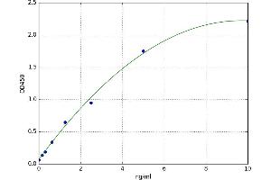Nuclear Receptor Coactivator 1 (NCOA1) ELISA Kit
