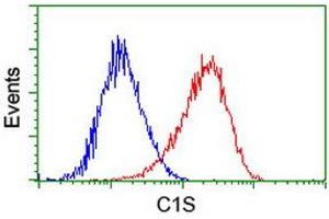 Image no. 8 for anti-Complement Component 1, S Subcomponent (C1S) antibody (ABIN1497565) (C1S 抗体)