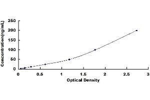Typical standard curve (FGL1 ELISA 试剂盒)