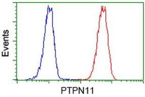 Image no. 3 for anti-Protein tyrosine Phosphatase, Non-Receptor Type 11 (PTPN11) antibody (ABIN1500499) (PTPN11 抗体)