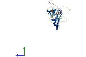 Protein Structure (PS) image for Serine/threonine Kinase 10 (STK10-A) (AA 1-968) protein (His tag) (ABIN7555621)