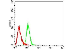 Flow cytometric analysis of Hela cells using BCL2L2 mouse mAb (green) and negative control (red). (BCL2L2 抗体  (AA 6-118))