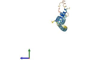 AlphaFold protein structure predicition of Mouse Recombinant Stx8 Protein, UniprotID O88983 (STX8 Protein (AA 1-236) (His tag))