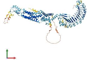 AlphaFold protein structure predicition of Mouse Recombinant Lrrc8b Protein, UniprotID Q5DU41