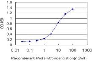 Detection limit for recombinant GST tagged HDAC1 is approximately 0. (HDAC1 抗体  (AA 1-482))