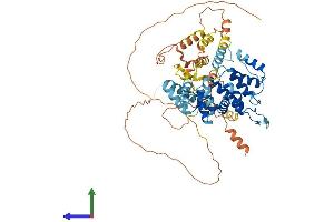 Protein Structure (PS) image for rho GTPase Activating Protein 36 (ARHGAP36) (AA 1-590) protein (His tag) (ABIN7562030)