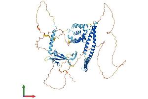 Protein Structure (PS) image for Elongation Factor, RNA Polymerase II, 2 (ELL2) (AA 1-640) protein (His tag) (ABIN7553792)