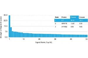 Analysis of Protein Array containing more than 19,000 full-length human proteins using CD117 / c-Kit Mouse Monoclonal Antibody (KIT/2673) Z- and S- Score: The Z-score represents the strength of a signal that a monoclonal antibody (MAb) (in combination with a fluorescently-tagged anti-IgG secondary antibody) produces when binding to a particular protein on the HuProtTM array. (KIT 抗体)