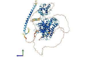 AlphaFold protein structure predicition of Mouse Recombinant Arhgef7 Protein, UniprotID Q9ES28