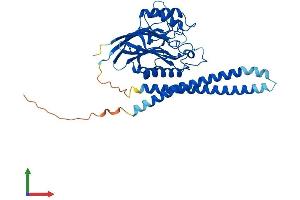 Protein Structure (PS) image for Sphingomyelin phosphodiesterase 2, Neutral Membrane (Neutral Sphingomyelinase) (SMPD2) (AA 1-423) protein (His tag) (ABIN7549961)