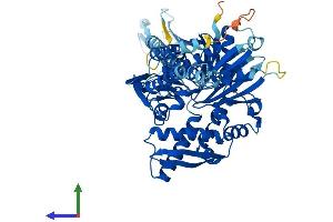 AlphaFold protein structure predicition of Mouse Recombinant Hspa2 Protein, UniprotID P17156