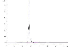 The purity of Human EGFR/HER1 is greater than 95 % as determined by SEC-HPLC.