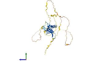 Protein Structure (PS) image for Forkhead Box E3 (FOXE3) (AA 1-319) protein (His tag) (ABIN7547744)