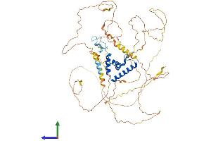 Protein Structure (PS) image for Transcription Factor 7-Like 2 (T-Cell Specific, HMG-Box) (TCF7L2) (AA 1-619) protein (His tag) (ABIN7555748)
