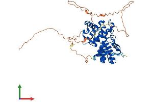 Protein Structure (PS) image for Cyclin A1 (CCNA1) (AA 1-421) protein (His tag) (ABIN7557704)