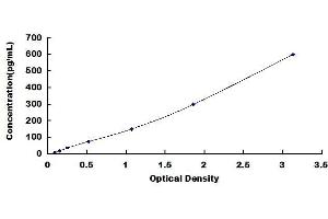 Typical standard curve (REG3B ELISA 试剂盒)