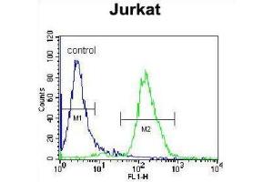 Flow Cytometry (FACS) image for anti-JAZF Zinc Finger 1 (JAZF1) antibody (ABIN2996323) (JAZF1 抗体)
