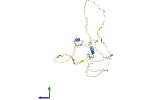 Protein Structure (PS) image for Zinc Finger Protein 488 (ZNF488) (AA 1-340) protein (His tag) (ABIN7545806)