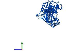 AlphaFold protein structure predicition of Human Recombinant ENTPD8 Protein, UniprotID Q5MY95