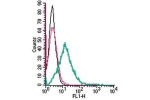 Flow Cytometry (FACS) image for anti-G Protein-Coupled Receptor 37 Like 1 (GPR37L1) (AA 66-80), (Extracellular) antibody (ABIN7043158)