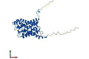 Protein Structure (PS) image for Aquaporin 9 (AQP9) (AA 1-295) protein (His tag) (ABIN7552229)