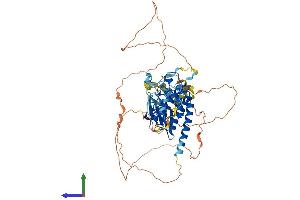 Protein Structure (PS) image for Testis-Specific Kinase 2 (TESK2) (AA 1-571) protein (His tag) (ABIN7544370)