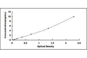 Typical standard curve (GAP43 ELISA 试剂盒)