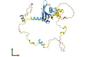 Protein Structure (PS) image for Src Homology 2 Domain Containing Transforming Protein D (SHD) (AA 1-340) protein (His tag) (ABIN7546086)