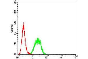 Flow cytometric analysis of Hela cells using BCL2L10 mouse mAb (green) and negative control (red). (BCL2L10 抗体  (AA 31-186))