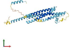 Protein Structure (PS) image for Syntaxin 11 (STX11) (AA 1-287) protein (His tag) (ABIN7560948)