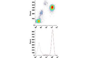 Flow cytometric analysis of human peripheral blood leukocytes with FUT4 monoclonal antibody, clone MCS-1 (FITC) .